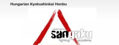 7 üzleti kép BENEDETTI-ART Webhosting ban/ben Baja BK