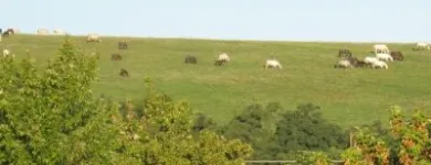 11 üzleti kép BODZAVIRÁG VENDÉGHÁZ Sport & Szabadidő ban/ben Szilvásvárad HE