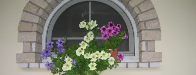 4 üzleti kép BONYPLAST BT. Nyílászárók ban/ben Bonyhád TO