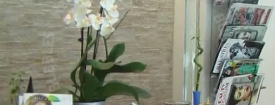 1 üzleti kép BUBBLES HAIR & BEAUTY SPA Szépségszalon, kozmetika ban/ben Budapest