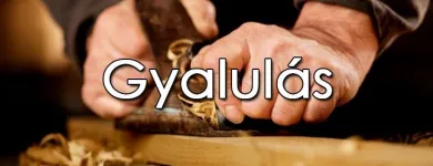2 üzleti kép BUDAPESTI FATELEP Faáruk, fatelepek ban/ben Budapest PE