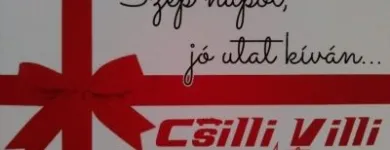 2 üzleti kép CSILLI-VILLI AUTÓMOSÓ-AUTÓKOZMETIKA Szőnyegtisztítás ban/ben Tatabánya KE