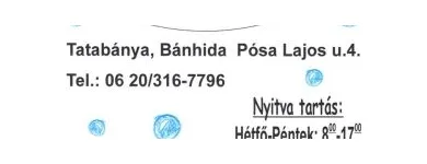 3 üzleti kép CSILLI-VILLI AUTÓMOSÓ-AUTÓKOZMETIKA Szőnyegtisztítás ban/ben Tatabánya KE