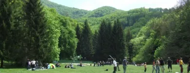 11 üzleti kép CSODASZARVAS SZILVÁSVÁRAD Üdülők ban/ben Szilvásvárad HE