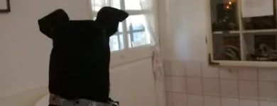 5 üzleti kép DAKTARY ÁLLATGYÓGYÁSZATI KFT. Állatorvosok ban/ben Pécs BA