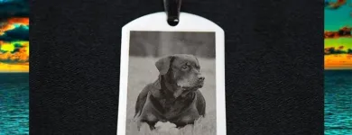 8 üzleti kép DIRECT-PRINT PATRON AMBULANCIA TINTAPATRON TONERKAZETTA Üzleti szolgáltatások ban/ben Miskolc BZ