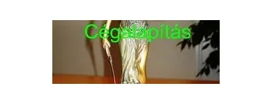 1 üzleti kép DR MOHOS GÁBOR EGYÉNI ÜGYVÉD Ügyvédek, jogi szolgáltatások ban/ben Budapest PE