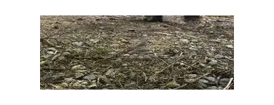 8 üzleti kép FÉMDETEKTOR BÉRLÉS / KÖLCSÖNZÉS Üzleti szolgáltatások ban/ben Budapest