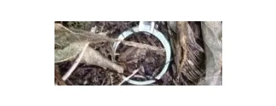 9 üzleti kép FÉMDETEKTOR BÉRLÉS / KÖLCSÖNZÉS Üzleti szolgáltatások ban/ben Budapest