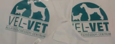 8 üzleti kép GLOBUS TREND BT. DEKOR STÚDIÓ Üzleti szolgáltatások ban/ben Székesfehérvár FE