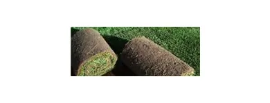 2 üzleti kép GYEP-FA Szállítás, logisztika ban/ben Gyömrő PE