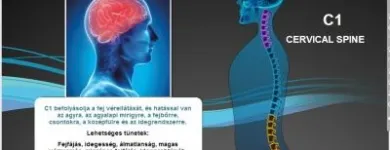 1 üzleti kép GYÓGYÍTÓ-SEGÍTŐ KEZEK KFT. Gyógyközpont ban/ben Kecskemét BK