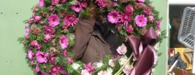 55 üzleti kép HANGA FLÓRA KFT - HANGA VIRÁGBOLT Virágüzlet, virágkötészet ban/ben Pécs BA