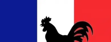 2 üzleti kép HARMÓNIA OKTATÓ FORDÍTÓ TOLMÁCS INFORMATIKA TELEKOMMUNIKÁCIÓ STÚDIÓ Üzleti szolgáltatások ban/ben Kecskemét BK