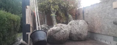1 üzleti kép JAKSICS FAISKOLA Kert- és parképítés ban/ben Cegléd PE