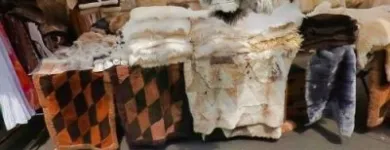 9 üzleti kép KECSKÉS SZŰCS Üzletek ban/ben Nagykőrös PE