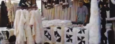 10 üzleti kép KECSKÉS SZŰCS Üzletek ban/ben Nagykőrös PE