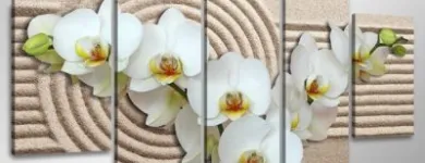 1 üzleti kép KÉPBIRODALOM.HU - A VÁSZONKÉP WEBÁRUHÁZ! Üzleti szolgáltatások ban/ben Mosonmagyaróvár GS