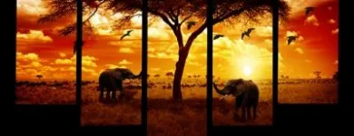 2 üzleti kép KÉPBIRODALOM.HU - A VÁSZONKÉP WEBÁRUHÁZ! Üzleti szolgáltatások ban/ben Mosonmagyaróvár GS