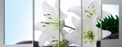 9 üzleti kép KÉPBIRODALOM.HU - A VÁSZONKÉP WEBÁRUHÁZ! Üzleti szolgáltatások ban/ben Mosonmagyaróvár GS