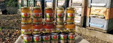 4 üzleti kép KISS CSALÁDI MÉHÉSZET Méhészet ban/ben Székesfehérvár FE