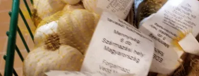 10 üzleti kép KISVAKOND MEZŐGAZDASÁGI BOLT Mezőgazdasági szakboltok ban/ben Székesfehérvár FE