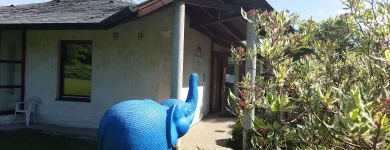 7 üzleti kép L.F. ANT ÁLLATORVOSI RENDELŐ Állatorvosok ban/ben Budapest PE