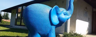 8 üzleti kép L.F. ANT ÁLLATORVOSI RENDELŐ Állatorvosok ban/ben Budapest PE