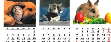 5 üzleti kép LÉZER GRAVÍROZÁS AZONNAL DIRECT-PRINT WWW.MISKOLCGRAVIR.HU Üzleti szolgáltatások ban/ben Miskolc BZ