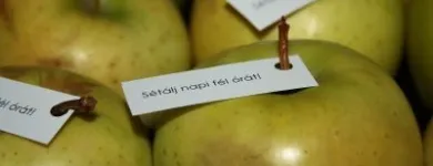 17 üzleti kép MAGISTRE RENDEZVÉNY ÉS ESKÜVŐ SZERVEZŐ KFT. Üzleti szolgáltatások ban/ben Tatabánya KE