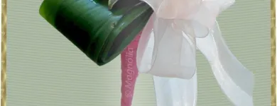 2 üzleti kép MAGNÓLIA VIRÁGSTÚDIÓ Virágüzlet, virágkötészet ban/ben Győr GS