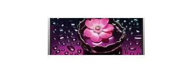 3 üzleti kép MATRICAPLAZA BT. Üzleti szolgáltatások ban/ben Budapest PE