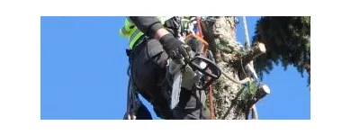 1 üzleti kép MAYER ZOLTÁN ALPINFAVÁGÓ Otthon és Építőipar ban/ben Budapest