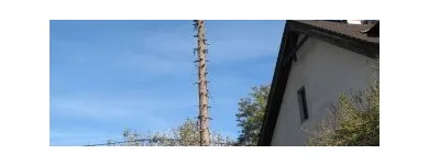 3 üzleti kép MAYER ZOLTÁN ALPINFAVÁGÓ Otthon és Építőipar ban/ben Budapest