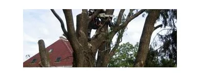 4 üzleti kép MAYER ZOLTÁN ALPINFAVÁGÓ Otthon és Építőipar ban/ben Budapest