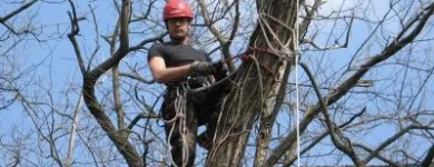 5 üzleti kép MAYER ZOLTÁN ALPINFAVÁGÓ Otthon és Építőipar ban/ben Budapest