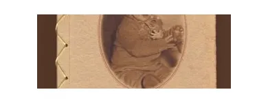 8 üzleti kép MEP MERÍTETT PAPÍR BT Üzletek ban/ben Székesfehérvár FE