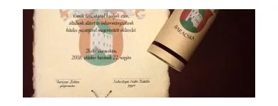 12 üzleti kép MEP MERÍTETT PAPÍR BT Üzletek ban/ben Székesfehérvár FE