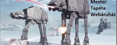 7 üzleti kép MESTER TAPÉTA WEBÁRUHÁZ - A FELÚJÍTÁS MESTERE Üzletek ban/ben Budapest