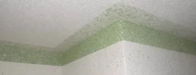 4 üzleti kép MESTERFESTŐ - SZOBAFESTŐ - MÁZOLÓ - TAPÉTÁZÓ Tapéta, falimatrica ban/ben Budapest