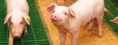 4 üzleti kép NAGISZ ZRT. Mezőgazdaság ban/ben Nádudvar HB