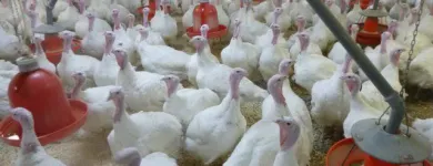 7 üzleti kép NAGISZ ZRT. Mezőgazdaság ban/ben Nádudvar HB