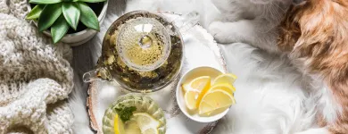 6 üzleti kép NATURCOMFORT KFT. Természetgyógyászat ban/ben Nyíregyháza SZ