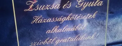 2 üzleti kép NYIRŐ ZSOLT ÜVEGCSISZOLÓ Üzleti szolgáltatások ban/ben Tapolca VE