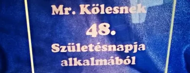 5 üzleti kép NYIRŐ ZSOLT ÜVEGCSISZOLÓ Üzleti szolgáltatások ban/ben Tapolca VE