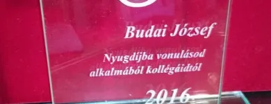 7 üzleti kép NYIRŐ ZSOLT ÜVEGCSISZOLÓ Üzleti szolgáltatások ban/ben Tapolca VE