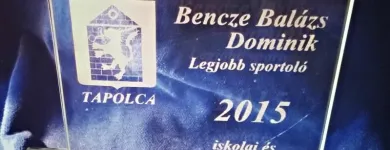 8 üzleti kép NYIRŐ ZSOLT ÜVEGCSISZOLÓ Üzleti szolgáltatások ban/ben Tapolca VE