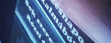 11 üzleti kép NYIRŐ ZSOLT ÜVEGCSISZOLÓ Üzleti szolgáltatások ban/ben Tapolca VE