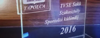 12 üzleti kép NYIRŐ ZSOLT ÜVEGCSISZOLÓ Üzleti szolgáltatások ban/ben Tapolca VE