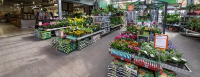 9 üzleti kép OBI ÁRUHÁZ VESZPRÉM Lakásfelújítás ban/ben Veszprem VE